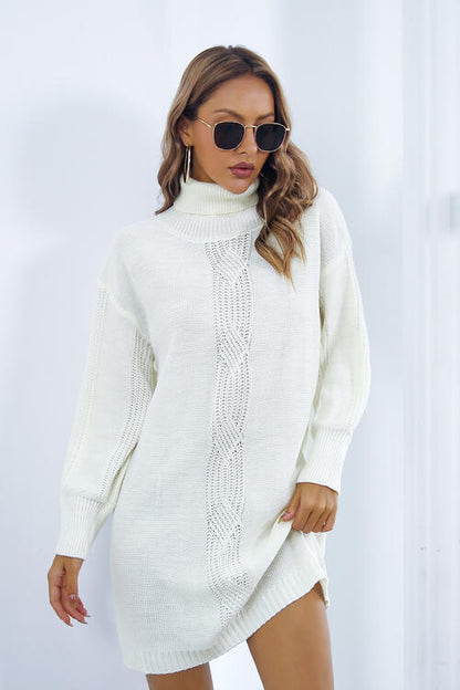 Women's Turtleneck Long Sleeve Sweater Dress